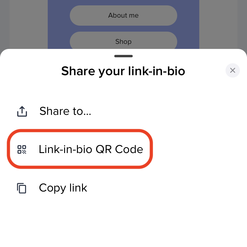 Bitly_Link-in-bio_-_QR_Code-_mobile_2.PNG