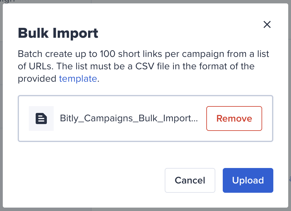 Bitly_campaigns_-_bulk_import_-_create.png