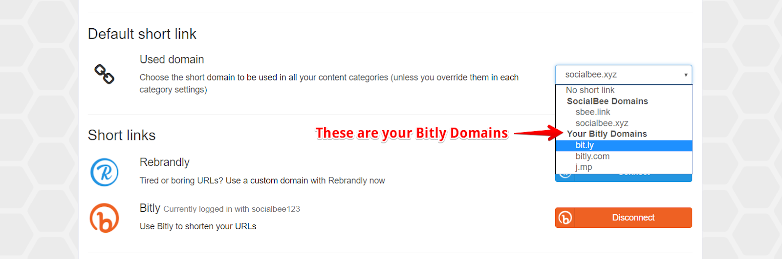 bitly_domains.png